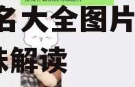 娱乐吃瓜酱网名大全图片,网名大全图片背后的趣味解读