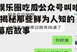 娱乐圈吃瓜公众号叫啥,揭秘那些鲜为人知的幕后故事