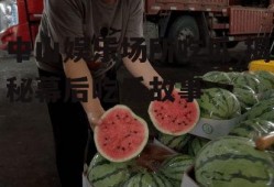 中山娱乐场所吃瓜,揭秘幕后吃瓜故事